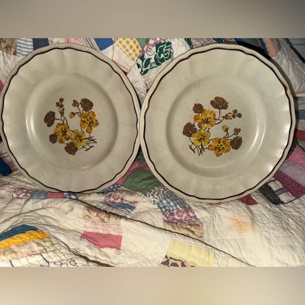 Vintage Ironstone Floral Dinner Plates